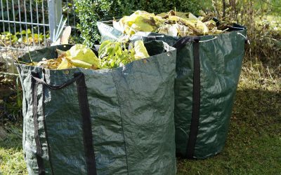 Contenedores para la recogida de podas