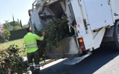 La importancia de la recogida de podas