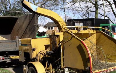 Alquiler de máquina trituradora para residuos de poda