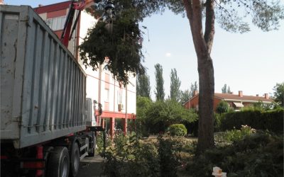 ¿Cómo elegir empresa de contenedores para escombros?
