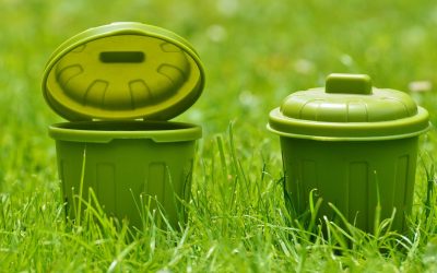 Contenedores Personalizables: Creando Espacios Únicos para tu Negocio o Proyecto