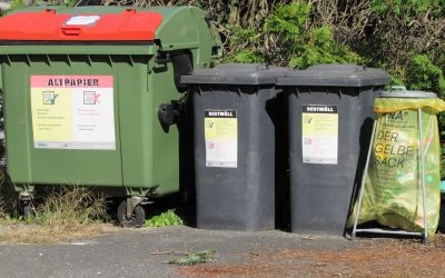 Cómo los Contenedores para Poda en Madrid Facilitan la Limpieza de Espacios Verdes