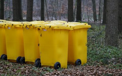 Optimiza tu Jardín con el Alquiler de Contenedores para Jardinería
