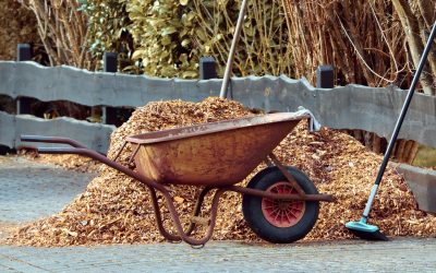 Estrategias Efectivas para el Reciclaje de Residuos de Poda