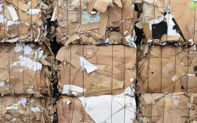 Soluciones Innovadoras para el Reciclaje de Cartón en Empresas