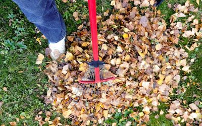 Cómo Lograr una Eliminación Eficiente de Desechos de Jardinería: Consejos y Servicios