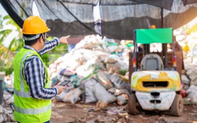 Líderes en la Compra de Chatarra y Cartón en Madrid