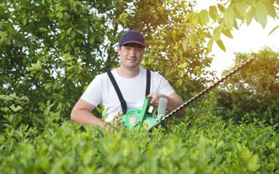 Especialistas en Servicios de Retirada de Podas y Jardinería