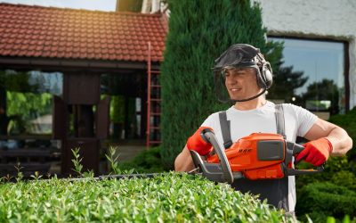 Disponibilidad de Trituradora de Poda para Alquiler para Proyectos de Jardinería