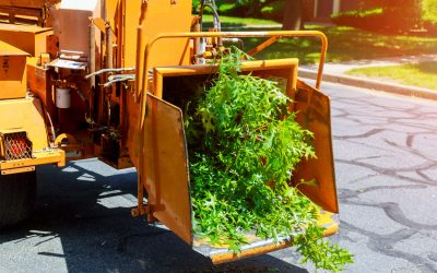 Uso de Máquinas Trituradoras para Residuos de Poda: Beneficios y Tipos