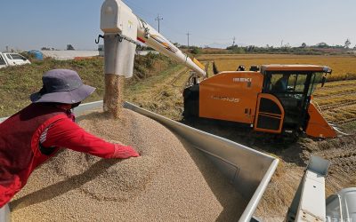 Servicio Eficiente de Eliminación de Residuos Industriales en Madrid