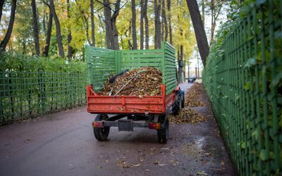 Empresa de alquiler de contenedores para podas: soluciones ecológicas