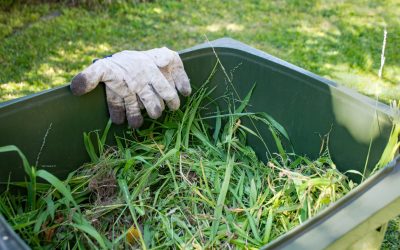 Contenedor de poda: recoge residuos vegetales con facilidad