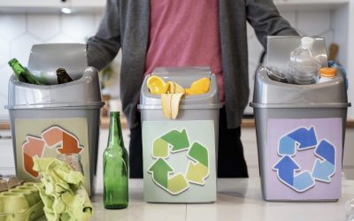 Servicio de gestión de residuos: soluciones sostenibles para empresas y reformas